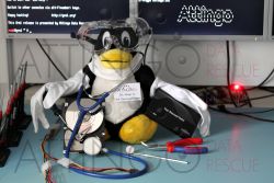 reinraum tux